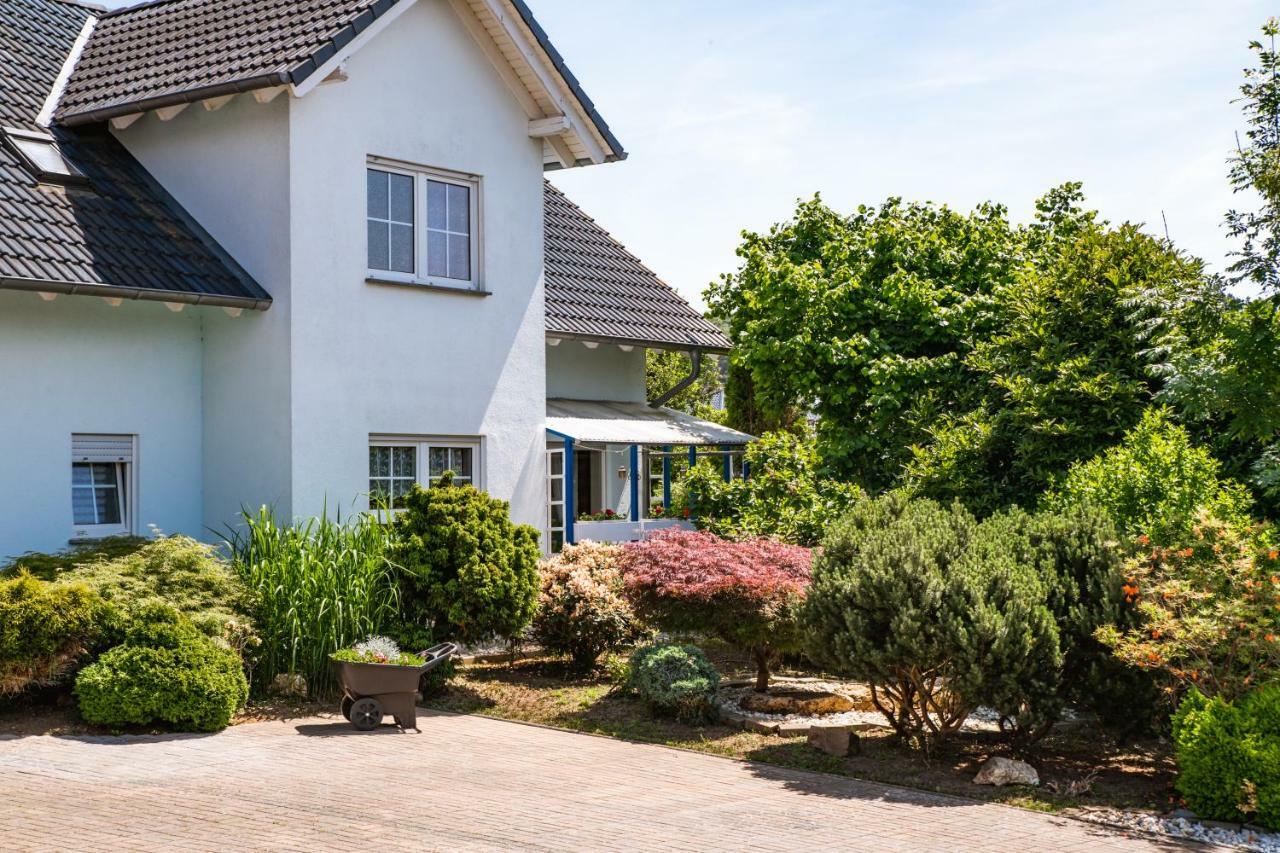 Das Blaue Haus Daufenbach 외부 사진